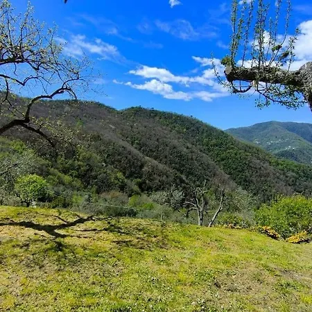 Casa Di Arya Codice Citra Lt-0043 Appartement *