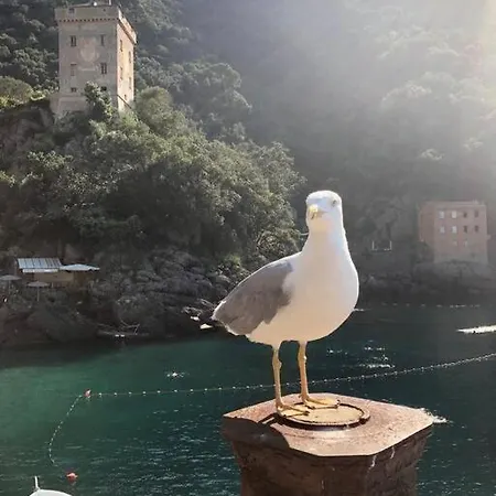 Casa Di Arya Codice Citra Lt-0043 * Vescina