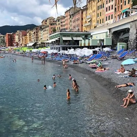 Casa Di Arya Codice Citra Lt-0043 *