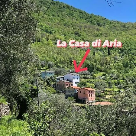 Casa Di Arya Codice Citra Lt-0043