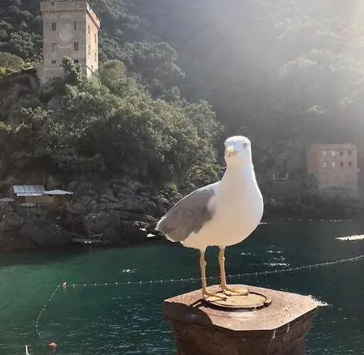 Casa Di Arya Codice Citra Lt-0043 * Vescina