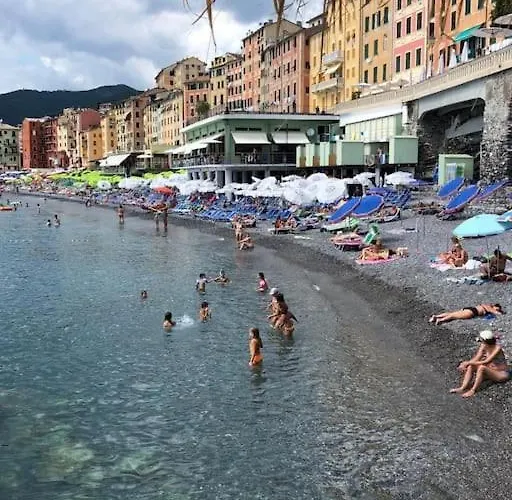 Casa Di Arya Codice Citra Lt-0043 *